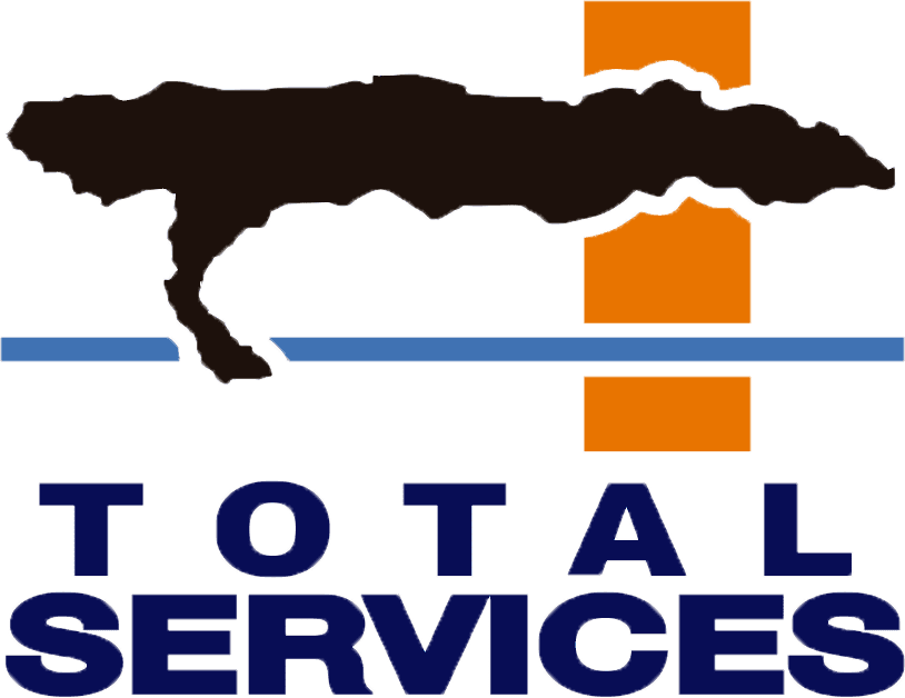 Logo Total Services blue letters orange stripe black tree